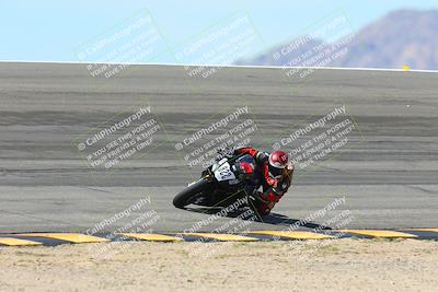 media/Mar-17-2024-CVMA (Sun) [[2dda336935]]/Race 7 Formula Lightweight Twins Shootout/